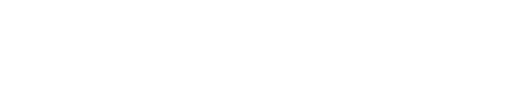 MYANMAR BIRMANIA 2014